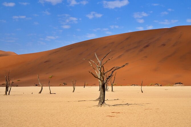 10 Day Discover Namibia Small Group Safari - Day two: entering the Namib Desert
