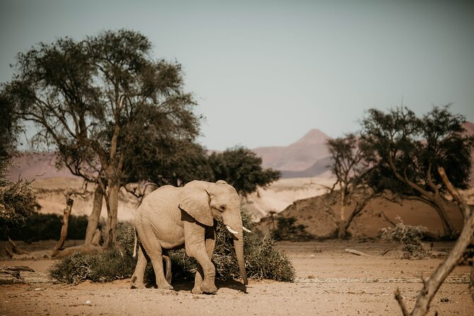 10 Day Discover Namibia Small Group Safari - Day one in Windhoek: an easy landing