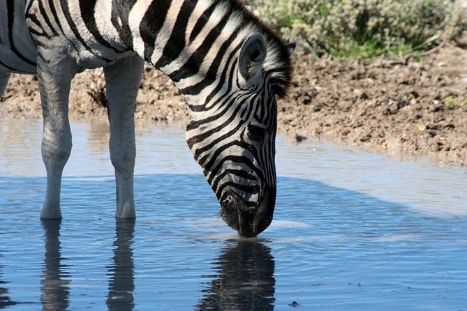 10-Day Namibia Highlights Guided Tour from Windhoek - What this Namibia route gets right