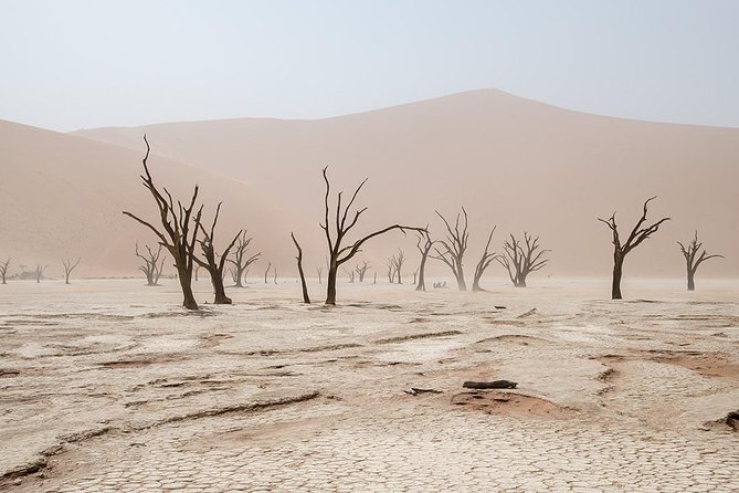 10 DAYS BEAUTY OF NAMIBIA | Guided Lodge - A route that shows Namibia’s great contrasts