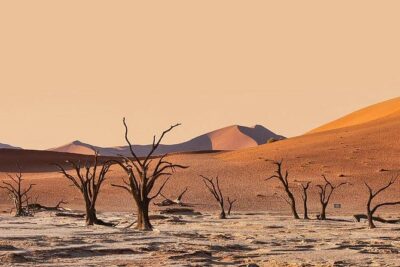10 DAYS BEAUTY OF NAMIBIA | Guided Lodge