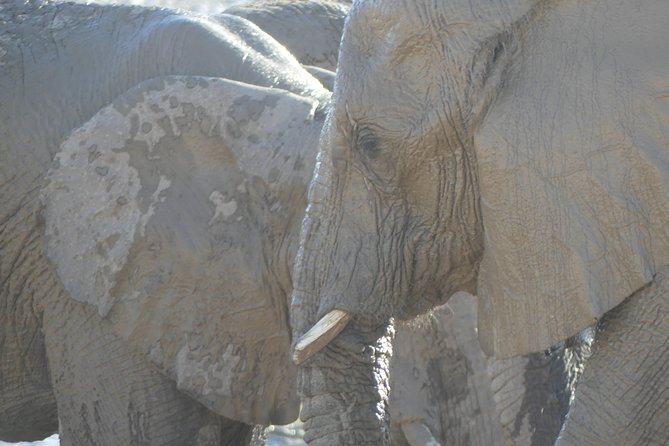 10 Namibia Adventures - What this 10-day Namibia route does well
