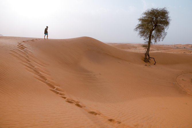 10 Namibia Adventures - Day 4: Solitaire and the road to Sesriem