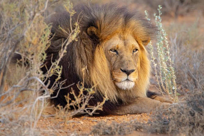 10 Namibia Adventures - Day 7: The Skeleton Coast and Brandberg Mountain