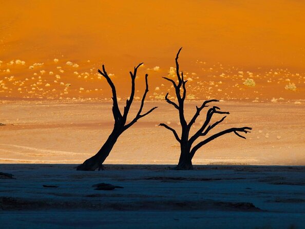 11 Days Small Group Namibia Experience Fully Accommodated Tour - Key points before you book