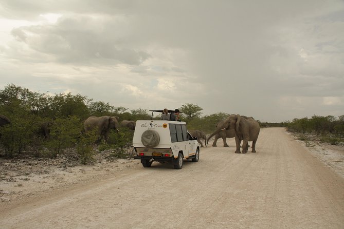 11 Days Small Group Namibia Experience Fully Accommodated Tour - Day 4: Across the desert to the Atlantic