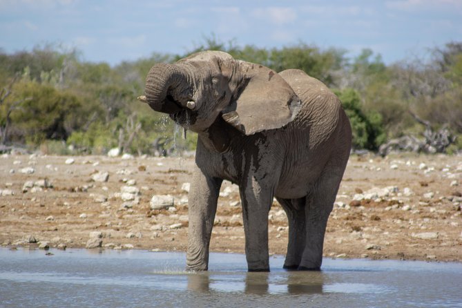 11 Days Small Group Namibia Experience Fully Accommodated Tour - Day 2: From the Kalahari toward the Namib
