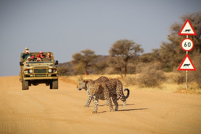 12 Day Classic Namibia Camping Safari - Meeting the Himba and reaching Palmwag