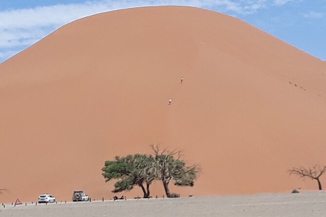 2 Day Scenic Sossusvlei Adventure Tour in Namibia - Welwitschia Plains and Namibia’s ancient survivor