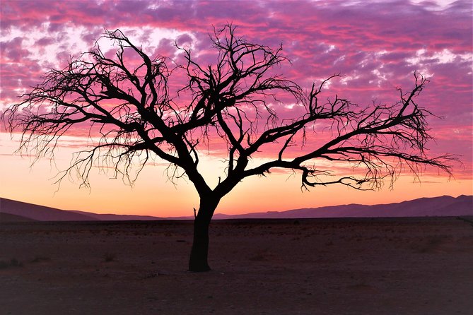 2 Days Sossusvlei Private Camping Tour - Why two days can work for Sossusvlei