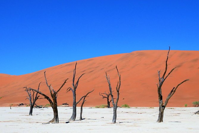 2 Days Sossusvlei Private Camping Tour - Day one: Solitaire breaks up the road