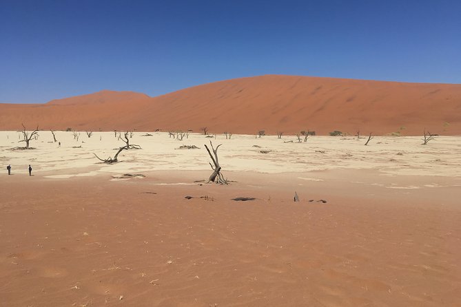 3 Day Camping safari at Sossusvlei - Why Sossusvlei deserves three days