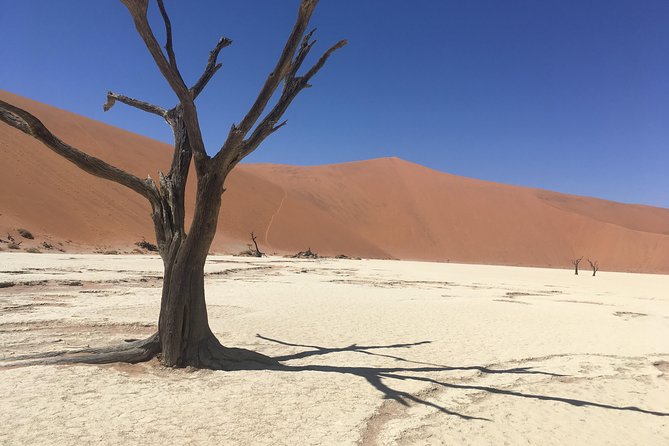 3 Day Camping safari at Sossusvlei - Who should book this safari?