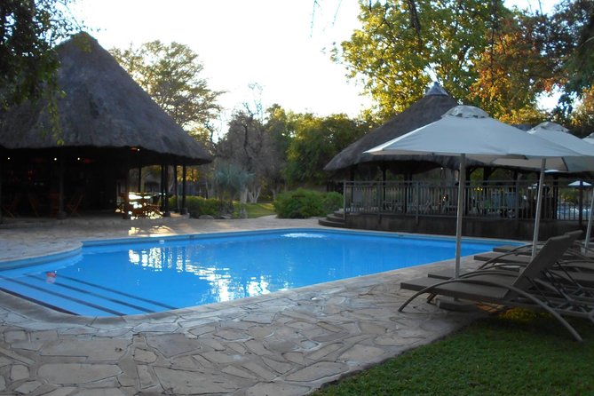 3 Day Camping tour at Etosha National Park - The guide and camp support
