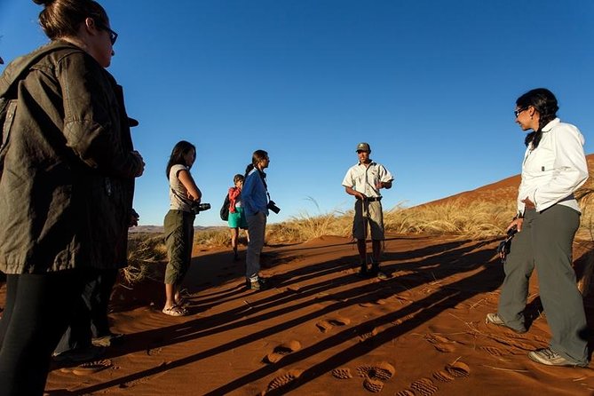 3 Day Sossusvlei Budget Camping Safari - Why Sossusvlei is worth the early alarm
