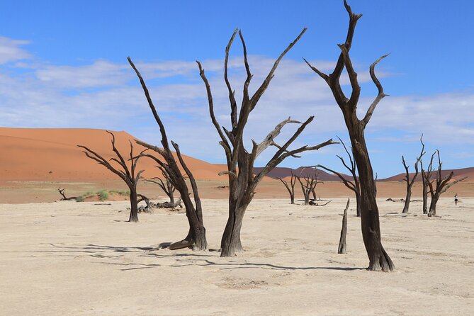 3 Day Sossusvlei Camping Schedule and Sandwich Habor - Day three: Walvis Bay and Sandwich Harbour