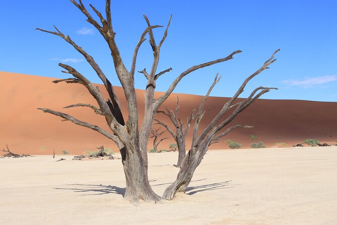 3 Day Sossusvlei Camping Schedule and Sandwich Habor - Day two: the main Sossusvlei morning