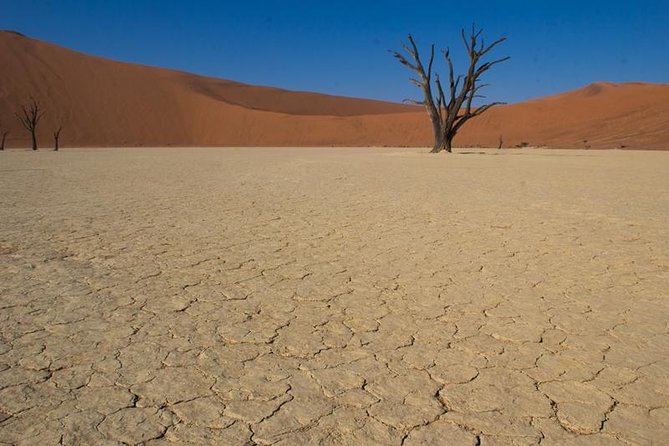 3-Day Sossusvlei Express Accommodated Safari from Swakopmund - What the guides add to the trip