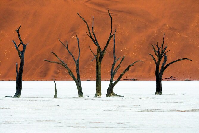 3 Days Amazing Red Dunes of Sossusvlei | Private Guided Tour - Deadvlei: three hours among ancient trees
