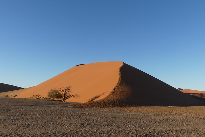3 Days Amazing Red Dunes of Sossusvlei | Private Guided Tour - Sesriem Canyon adds rock and shade