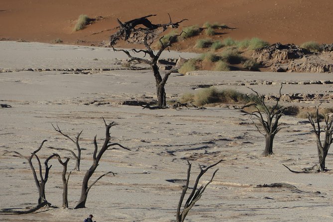 3 Days Amazing Red Dunes of Sossusvlei | Private Guided Tour - What the price covers, and what it does not