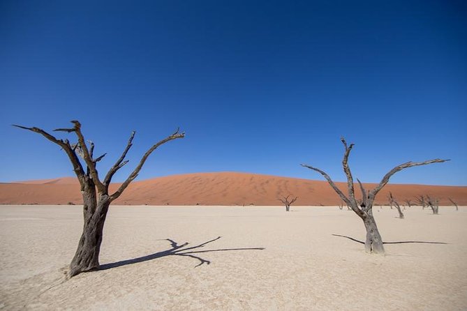 4-Day Swakopmund And Sossusvlei Accommodated Adventure from Windhoek - Day 3: the sunrise run to Dead Vlei