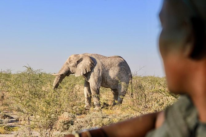6-Day Dunes and Wildlife Accommodated Safari from Windhoek - Day 4: Swakopmund, mountain passes, and desert camp