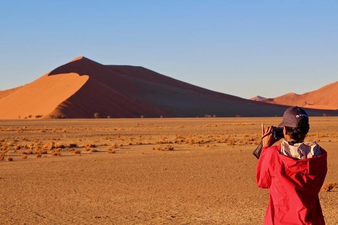 6-Day Dunes and Wildlife Accommodated Safari from Windhoek - The small-group vehicle and daily pace