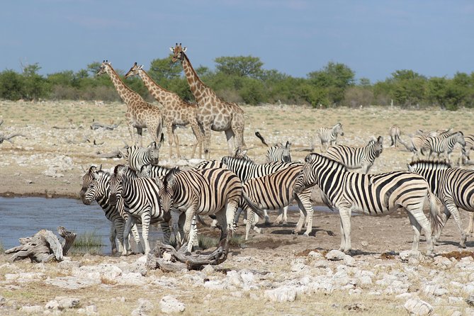 6 Day Private Guided Accommodated Namibian Loop - Day 1: Windhoek to Etosha through Andersson Gate