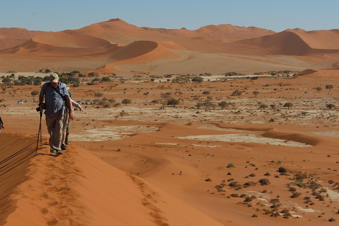 6 Day Private Guided Accommodated Namibian Loop - Day 3: Damaraland, roadside stalls, and the Zeila shipwreck