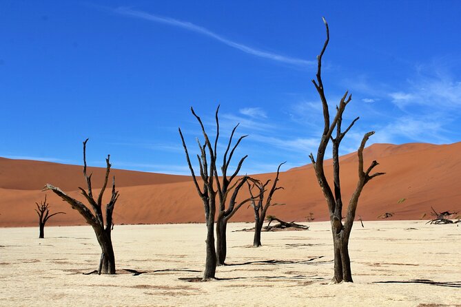 6 Day Private Guided Accommodated Namibian Loop - Why the private guide matters