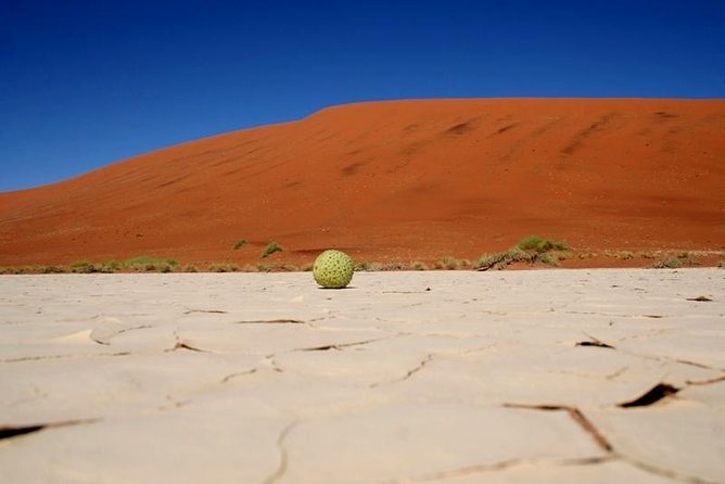 7 Day - Kalahari TOP attractions - Fish River Canyon at sunset