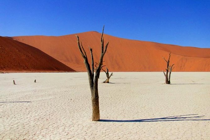 7 Day - Kalahari TOP attractions - Quiver Tree Forest and Giant’s Playground