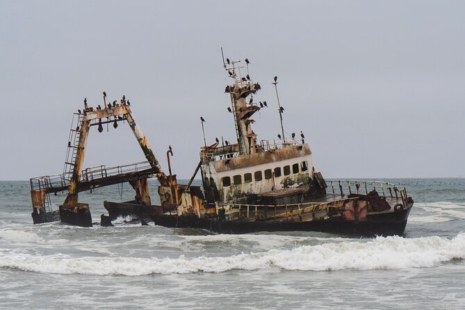 7 Day Northern Namibia and Skeleton Coast Camping Safari - Day 7: Walvis Bay flamingos and the road home
