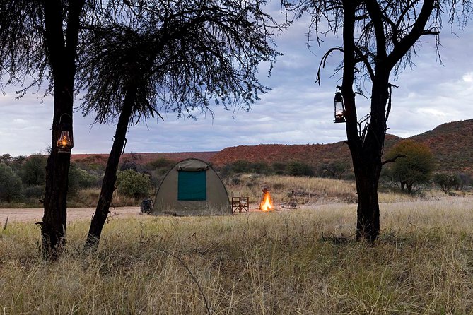7 Day Northern Namibia and Skeleton Coast Camping Safari - Day 2: Entering Etosha at Okaukuejo