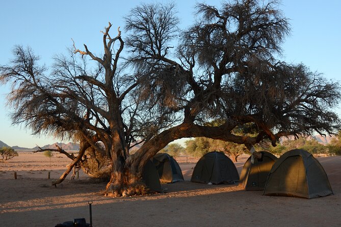 9 Day Canyons, Dunes & Wildlife Camping and Lodge Safari - Why this nine-day Namibia route works