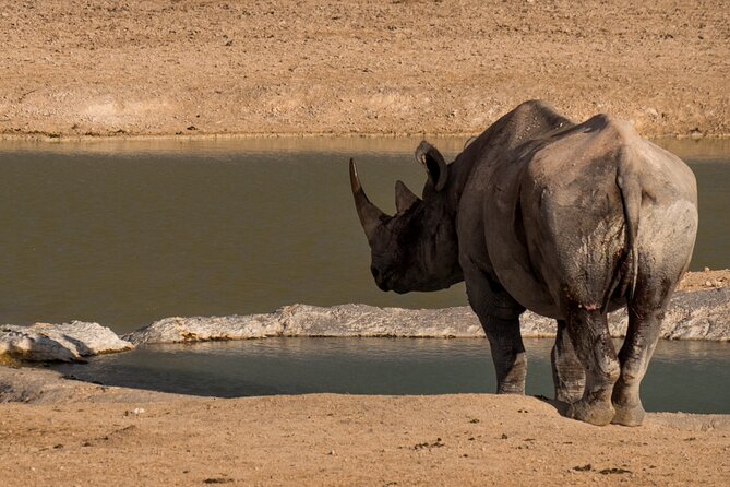 9 Day Canyons, Dunes & Wildlife Camping and Lodge Safari - Day 5: Sossusvlei, Dead Vlei, and Sesriem Canyon