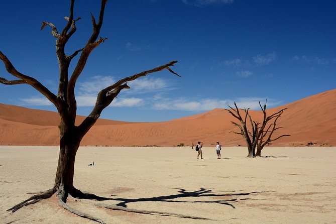 9 Day Canyons, Dunes & Wildlife Camping and Lodge Safari - Day 2: Etosha Pan and a full wildlife day