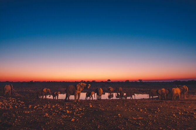 9 Day Etosha, Skeleton Coast and Sossusvlei Camping and Lodge Safari - Why this nine-day route works