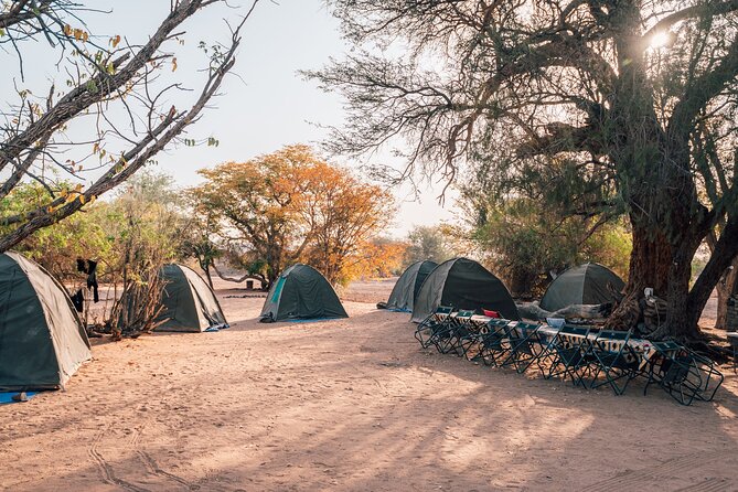 9 Day Etosha, Skeleton Coast and Sossusvlei Camping and Lodge Safari - Day 6: Seals, a shipwreck, and Swakopmund