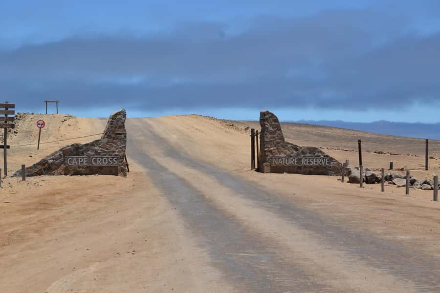 Cape Cross and Henties Bay Guided Tour SkeletonCoast Namibia - Why this Cape Cross day trip is worth your time