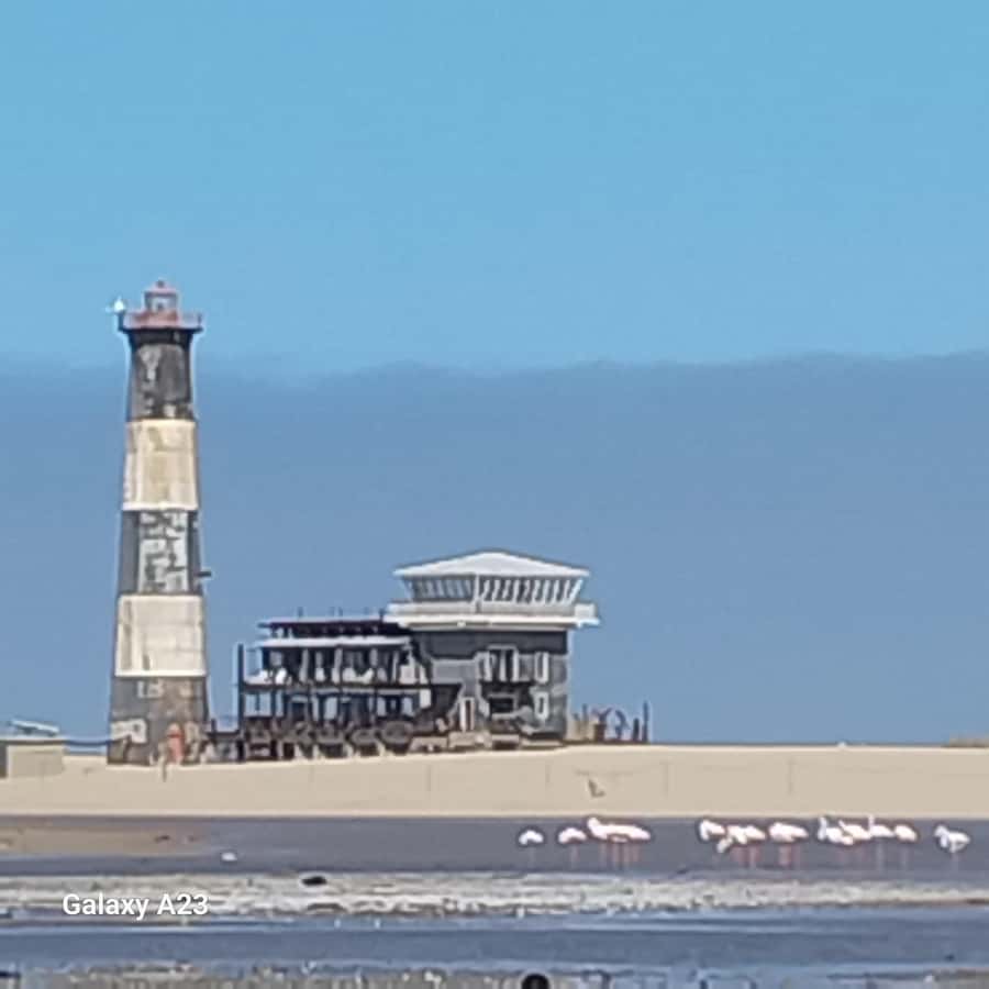 Catamaran Dolphin Cruise and Sandwich Harbour Tour - Why this Swakopmund day works so well