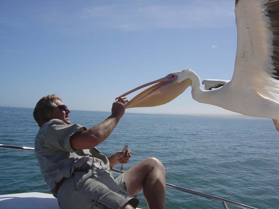 Catamaran Dolphin Cruise and Sandwich Harbour Tour - Leaving Swakopmund for Walvis Bay