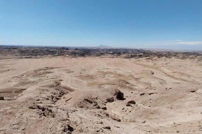 Cruise liner Special: Swakopmund and Namib Desert Highlights - Timing, guides, and practical planning