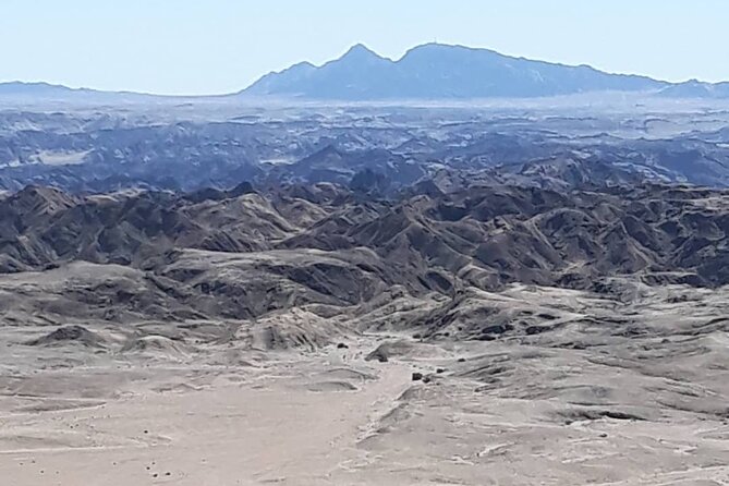 Cruise liner Special: Swakopmund and Namib Desert Highlights - Lichen fields: life on bare gravel