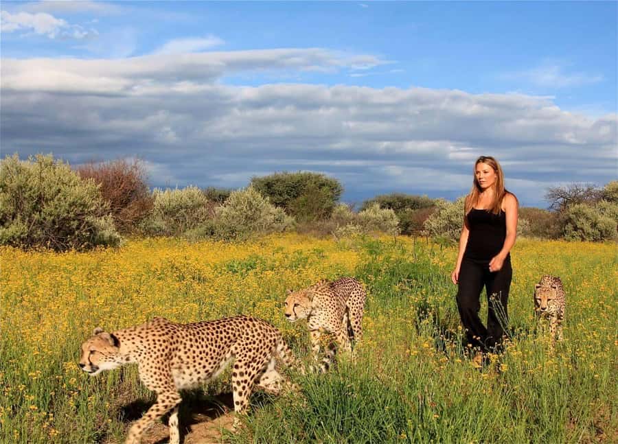 Discover the Roots of N/a'ankuse - A feeding Day Tour - Leaving Windhoek at 08:30