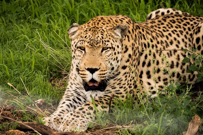 Discover the Routes of N/a’an ku sê. - Key points to know before booking
