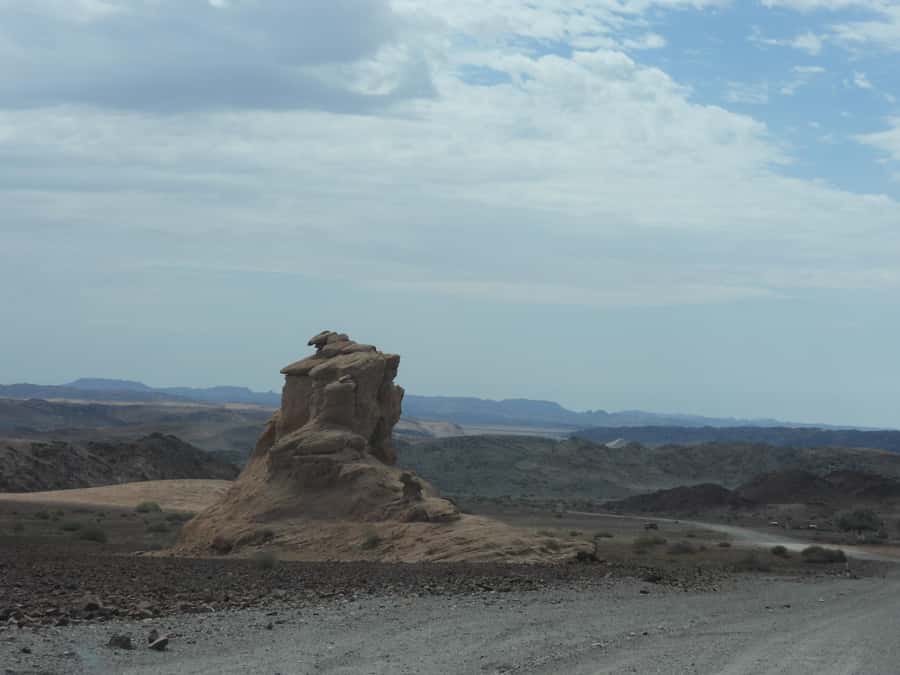 Elephant Adventure with Herson - a native of Damaraland - Giraffes and smaller animals along the route