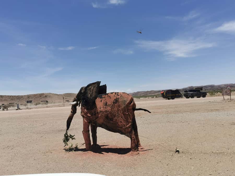 Elephant Adventure with Herson - a native of Damaraland - Learning about Damaraland from a local guide