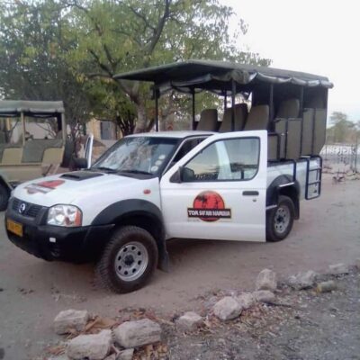 Full or Half-Day Game Drive